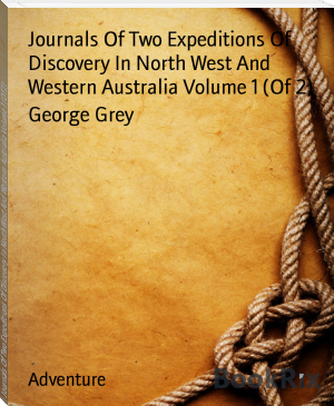 Journals Of Two Expeditions Of Discovery In North West And Western Australia Volume 1 (Of 2) by George Grey (read book txt) 📕 - American Library Books 📚 Read (28910) Books Online Free