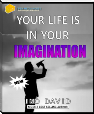 Your Life is in your Imagination by David Imo (first color ebook reader txt) 📕 - American Library Books 📚 Read (28910) Books Online Free
