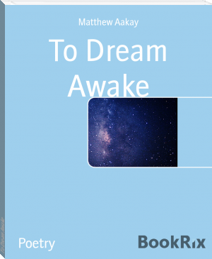 To Dream Awake by Matthew Aakay (english reading book TXT) 📕 - American Library Books 📚 Read (28910) Books Online Free