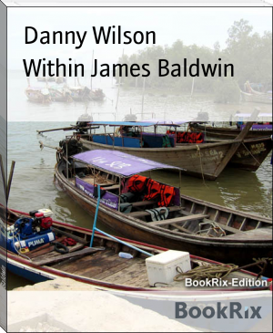 Within James Baldwin by Danny Wilson (beach read txt) 📕 - American Library Books 📚 Read (28910) Books Online Free