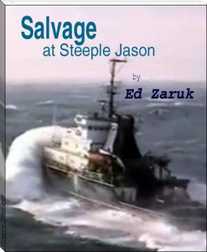 Salvage at Steeple Jason by Ed Zaruk (ebook reader that looks like a book .TXT) 📕 - American Library Books 📚 Read (28910) Books Online Free