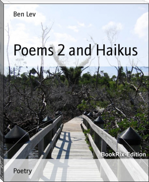 Poems 2 and Haikus by Ben Lev (reading comprehension books TXT) 📕 - American Library Books 📚 Read (28910) Books Online Free