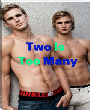 Two Is Too Many by Z.Stark n/a (books to improve english .TXT) 📕 - American Library Books 📚 Read (28910) Books Online Free