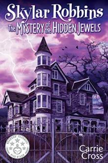 Skylar Robbins: The Mystery of the Hidden Jewels by Carrie Cross (well read books TXT) 📕 - American Library Books 📚 Read (28910) Books Online Free