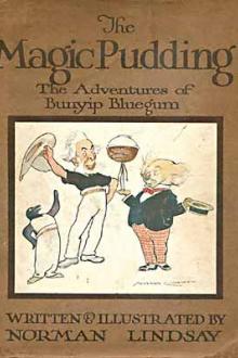 The Magic Pudding by Norman Lindsay (books for 9th graders .TXT) 📕 - American Library Books 📚 Read (28910) Books Online Free