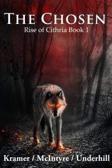 The Chosen by Kris Kramer (read the beginning after the end novel TXT) 📕 - American Library Books 📚 Read (28910) Books Online Free