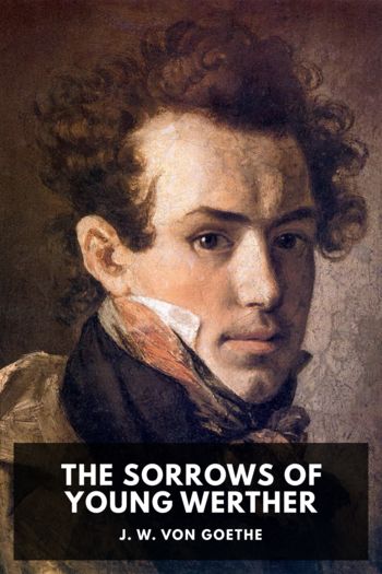 The Sorrows of Young Werther by J. W. von Goethe (early reader books TXT) 📕 - American Library Books 📚 Read (28910) Books Online Free