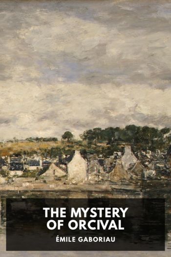 The Mystery of Orcival by Émile Gaboriau (fiction book recommendations .TXT) 📕 - American Library Books 📚 Read (28910) Books Online Free