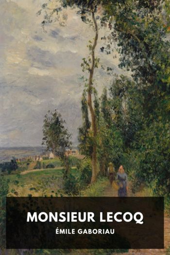 Monsieur Lecoq by Émile Gaboriau (romance novel chinese novels .txt) 📕 - American Library Books 📚 Read (28910) Books Online Free