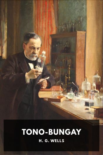 Tono-Bungay by H. G. Wells (diy ebook reader txt) 📕 - American Library Books 📚 Read (28910) Books Online Free