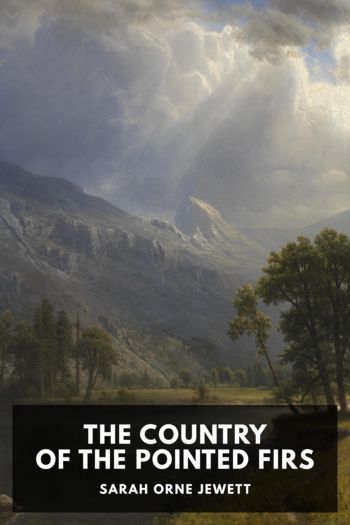 The Country of the Pointed Firs by Sarah Orne Jewett (knowledgeable books to read .txt) 📕 - American Library Books 📚 Read (28910) Books Online Free
