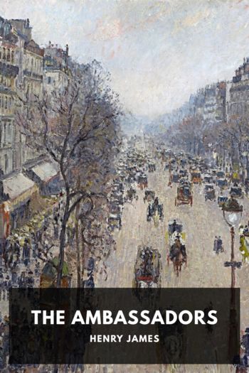 The Ambassadors by Henry James (read people like a book .TXT) 📕 - American Library Books 📚 Read (28910) Books Online Free