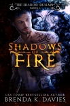 Shadows of Fire (The Shadow Realms, Book 1) by Brenda Davies (free e books to read .TXT) 📕 - American Library Books 📚 Read (28910) Books Online Free