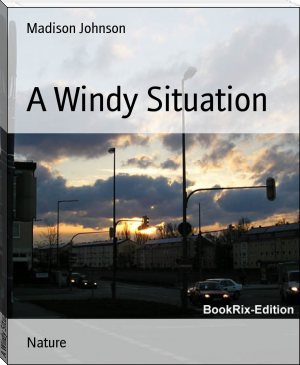 A Windy Situation by Madison Johnson (novel books to read .txt) 📕 - American Library Books 📚 Read (28910) Books Online Free
