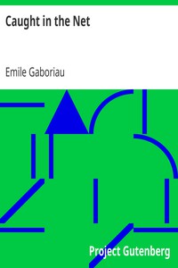 Caught in the Net by Emile Gaboriau (the ebook reader .txt) 📕 - American Library Books 📚 Read (28910) Books Online Free