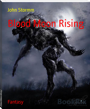 Blood Moon Rising by John Stormm (ebook reader below 3000 txt) 📕 - American Library Books 📚 Read (28910) Books Online Free