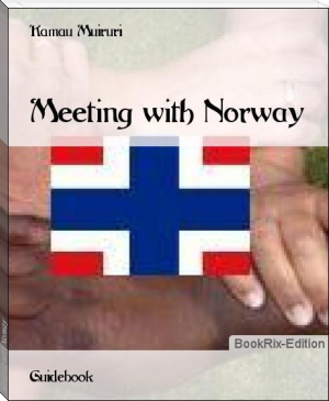 Meeting with Norway by Kamau Muiruri (web based ebook reader .TXT) 📕 - American Library Books 📚 Read (28910) Books Online Free