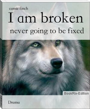 I am broken by camie finch (books for 6 year olds to read themselves txt) 📕 - American Library Books 📚 Read (28910) Books Online Free