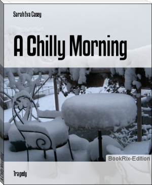 A Chilly Mourning by Sarah Eva Casey (short books to read TXT) 📕 - American Library Books 📚 Read (28910) Books Online Free