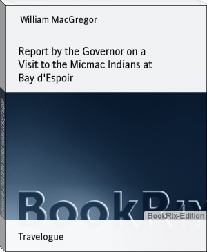 Report by the Governor on a Visit to the Micmac Indians at Bay d'Espoir by William MacGregor (rooftoppers txt) 📕 - American Library Books 📚 Read (28910) Books Online Free