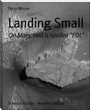 Landing Small by Terry Wilson (librera reader txt) 📕 - American Library Books 📚 Read (28910) Books Online Free
