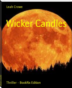 Wicker Candles by Leah Crowe (best way to read an ebook TXT) 📕 - American Library Books 📚 Read (28910) Books Online Free