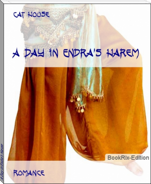 A Day in Endra's Harem by Cat House (summer reads txt) 📕 - American Library Books 📚 Read (28910) Books Online Free