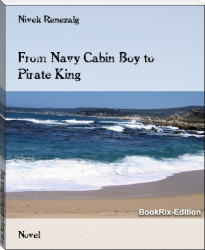 From Navy Cabin Boy to Pirate King by Nivek Renezalg (good romance books to read TXT) 📕 - American Library Books 📚 Read (28910) Books Online Free