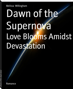 Dawn of the Supernova by Melissa  Willingham (inspirational books for students .txt) 📕 - American Library Books 📚 Read (28910) Books Online Free
