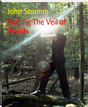 Parting The Veil of Worlds by John Stormm (top 10 non fiction books of all time txt) 📕 - American Library Books 📚 Read (28910) Books Online Free