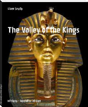 The Valley of the Kings by Liam Scully (famous ebook reader TXT) 📕 - American Library Books 📚 Read (28910) Books Online Free