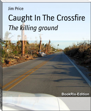 Caught In The Crossfire by Jim Price (large ebook reader .TXT) 📕 - American Library Books 📚 Read (28910) Books Online Free