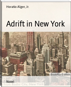Adrift in New York by Horatio Alger, Jr. (readict books .txt) 📕 - American Library Books 📚 Read (28910) Books Online Free