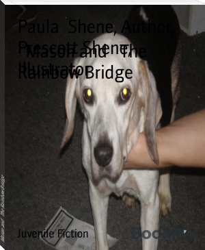 Mason and   The Rainbow Bridge by Paula  Shene, Author, Prescott Shene, Illustrator (korean ebook reader TXT) 📕 - American Library Books 📚 Read (28910) Books Online Free