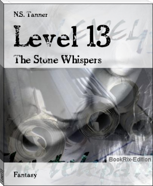 Level 13 by Virginia Lang (rom com books to read .txt) 📕 - American Library Books 📚 Read (28910) Books Online Free