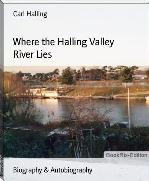 Where the Halling Valley River Lies by Carl Halling (read a book .TXT) 📕 - American Library Books 📚 Read (28910) Books Online Free