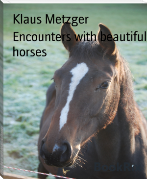 Encounters with beautiful horses by Klaus Metzger (best free ebook reader txt) 📕 - American Library Books 📚 Read (28910) Books Online Free