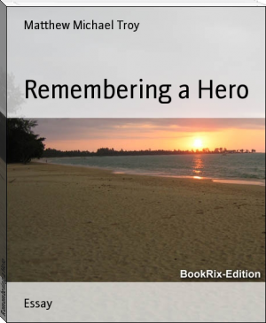Remembering a Hero by Matthew Michael Troy (to read list .TXT) 📕 - American Library Books 📚 Read (28910) Books Online Free