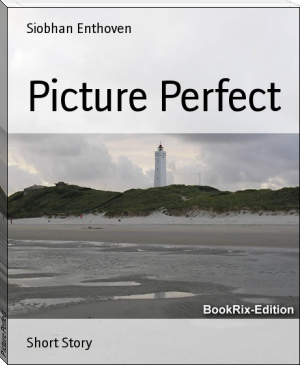 Picture Perfect by Siobhan Enthoven (read e books online free .txt) 📕 - American Library Books 📚 Read (28910) Books Online Free