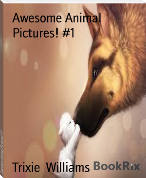 Awesome Animal Pictures! #1 by Trixie  Williams (the reading list book txt) 📕 - American Library Books 📚 Read (28910) Books Online Free