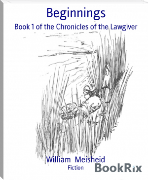 Beginnings by William  Meisheid (good books to read for women .txt) 📕 - American Library Books 📚 Read (28910) Books Online Free