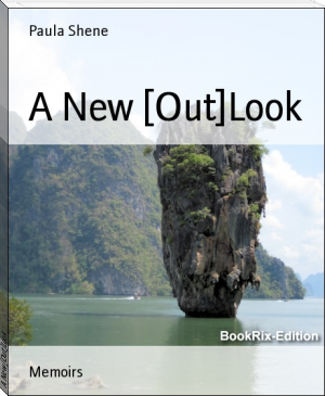A New [Out]Look by Paula Shene (ink ebook reader TXT) 📕 - American Library Books 📚 Read (28910) Books Online Free