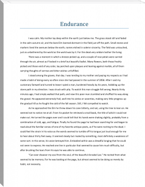 Endurance by Kevin Turner (good book recommendations .txt) 📕 - American Library Books 📚 Read (28910) Books Online Free
