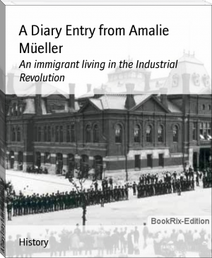 A Diary Entry from Amalie Müeller by Liz McHayes (online e reader .TXT) 📕 - American Library Books 📚 Read (28910) Books Online Free