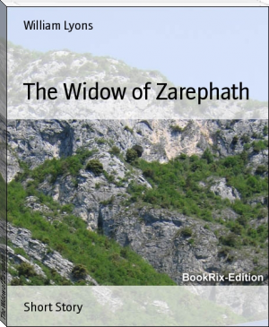 The Widow of Zarephath by William Lyons (books to get back into reading .TXT) 📕 - American Library Books 📚 Read (28910) Books Online Free