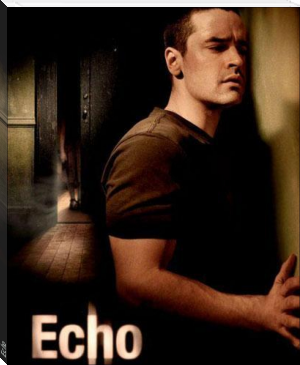 Echo by J.N Taylor (mystery books to read txt) 📕 - American Library Books 📚 Read (28910) Books Online Free