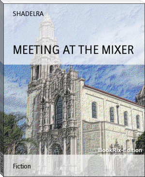 MEETING AT THE MIXER by SHADELRA (best english novels to read .TXT) 📕 - American Library Books 📚 Read (28910) Books Online Free