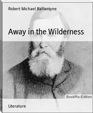 Away in the Wilderness by Robert Michael Ballantyne (best way to read e books TXT) 📕 - American Library Books 📚 Read (28910) Books Online Free