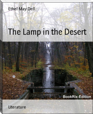 The Lamp in the Desert by Ethel May Dell (miss read books .TXT) 📕 - American Library Books 📚 Read (28910) Books Online Free